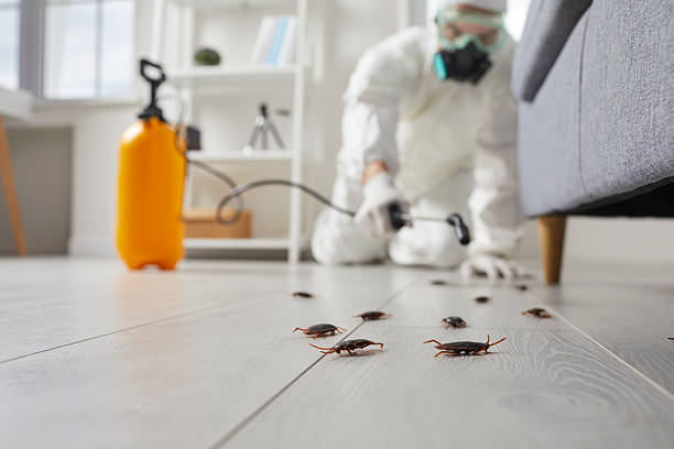 Commercial Kitchen Cockroach Control in Lauderdale